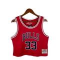 cropped-chicago-bulls-hwc-retro-feminino-vermelho-33-chicago-bulls-basketball-NBA-championships-michael-jordan-scottie-pippen-derrick-rose-united-center-red-and-black-ynasty